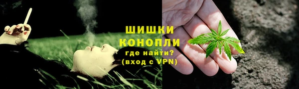 гидропоника Белокуриха