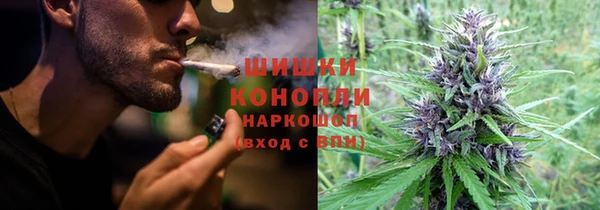 гидропоника Белокуриха