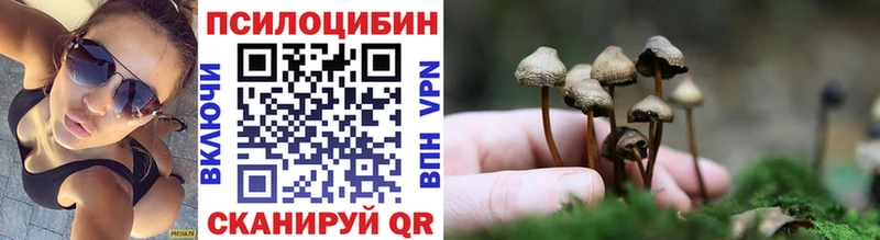 Галлюциногенные грибы Psilocybe  Дальнегорск 